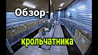 Крольчатник