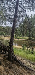 Мещерская сторона 