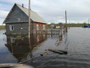Ремонт палисадника 