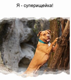 Ноузворк