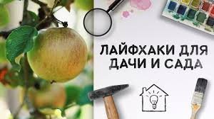 Идеи для сада и огорода
