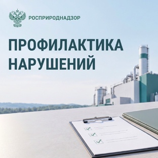 Профилактика Росприроднадзора: визиты, проверки и разъяснения