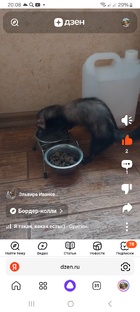 Наш маленький зверинец