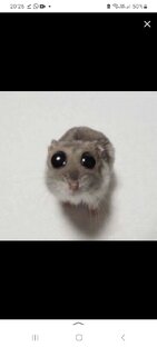 Чибисы и стиль подписчиков✨🌼🤍