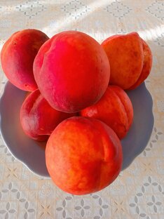 Во саду ли, в огороде