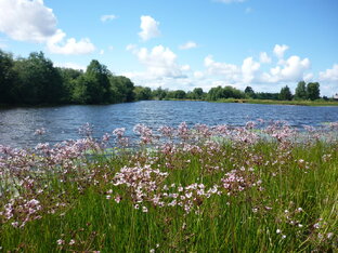 Лысенко Светлана