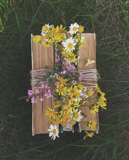 Книжная полка