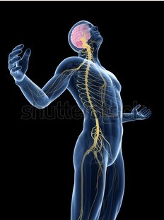 Работа мозга