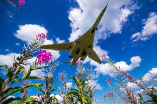 Военная Сфера