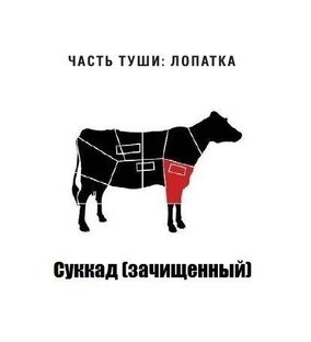 Интересное и полезное
