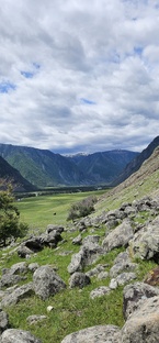 Алтай