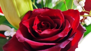 Аффирмации дня