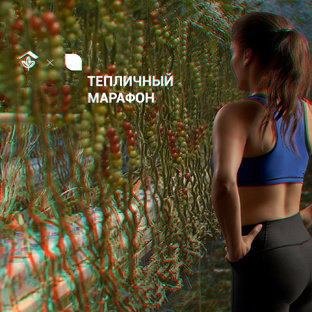 Тепличный Марафон 2020