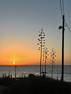 Отпуск в Израиле в октябре 2025 года