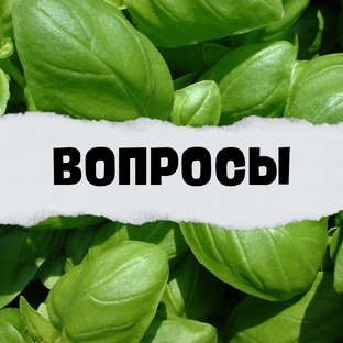 Вопросы ЭКСПЕРТУ