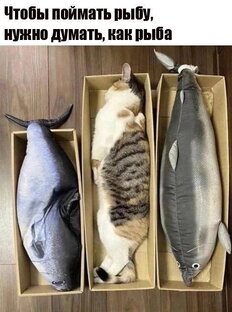 🐱 КотоЮмор: Без кота и жизнь не та!