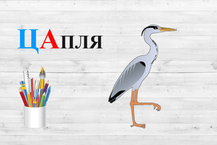 Согласный звук Ц. Закрытый слог. Открытый слог.