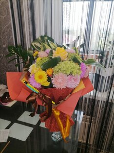 Флористика