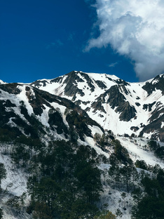 Краснодарский край