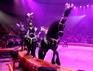 Королевский цирк, и сам Гии Эрадзе!!! 