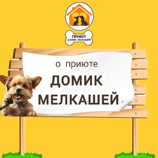 О ПРИЮТЕ 🐶