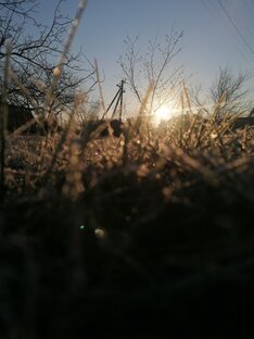 ОГОРОДНЫЕ ДЕЛА