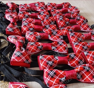 Бабочки-галстуки