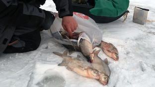 Зимняя рыбалка на леща