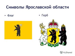 Региональные новости
