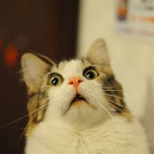 Что бесит хендмейдера?