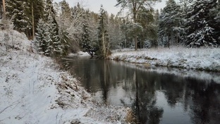 Посты канала Райвола Фишинг(Рощино рыбалка)