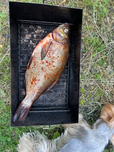 Эхх, воспоминания по лету предыдущих сезонов