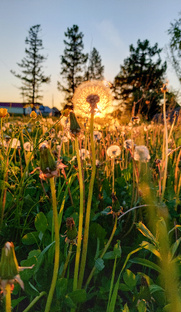 Круглый год в поместье