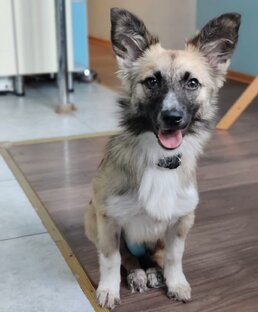 ПРИВЕТЫ ИЗ ДОМА