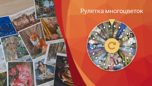 Рулетка многоцветок