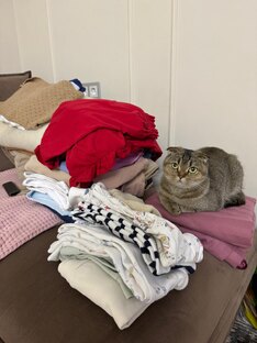 марафон "Настройка дома"