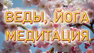 Смысл жизни.