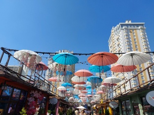 Краснодар 2025  и этим все сказано