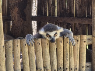 Фукуок. Вьетнам. Windham Garden..Декабрь 2025