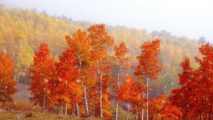 Нельзя пройти мимо