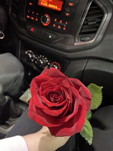 Всё что вижу 