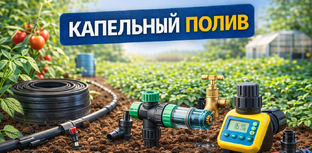 Капельный полив