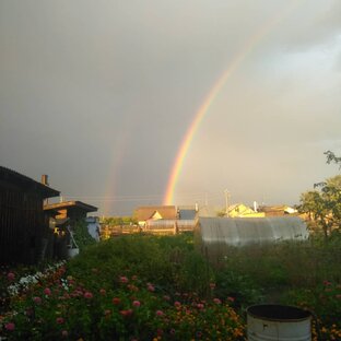 Алтайский край