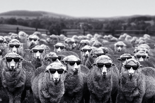 Я - философ! Умничаю... иногда полезно)