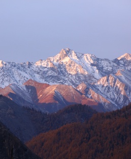 Жизнь среди гор или Мондюки на выпасе