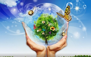 Живая жизнь на нашей планете