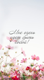 Обои для телефона