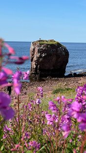 Терский берег в Мурманской области, бывшие поморские деревни