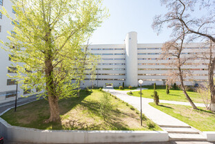 Общежития Вузов