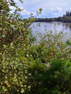 Красоты природы